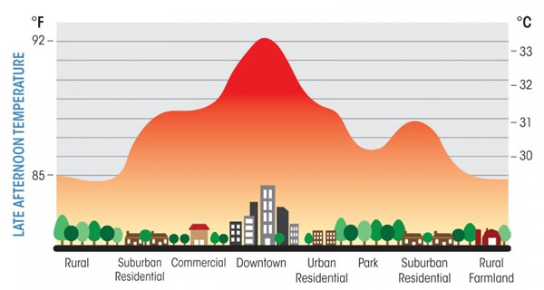 Courbe de température entre rural et urbain pour illustrer l'îlot de chaleur