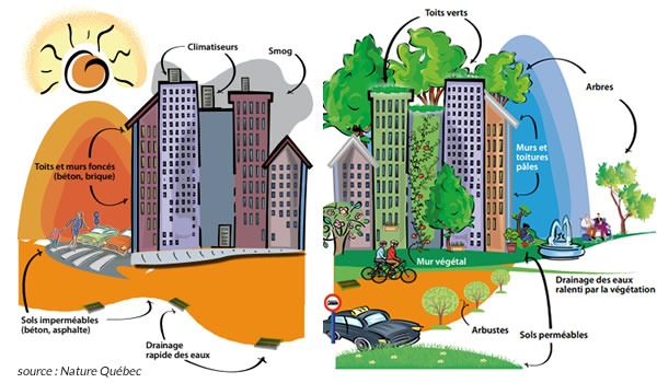 Îlots de chaleur urbains quelles solutions