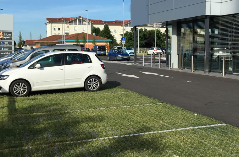 Biodiversité préservée sur un parking commercial végétalisé