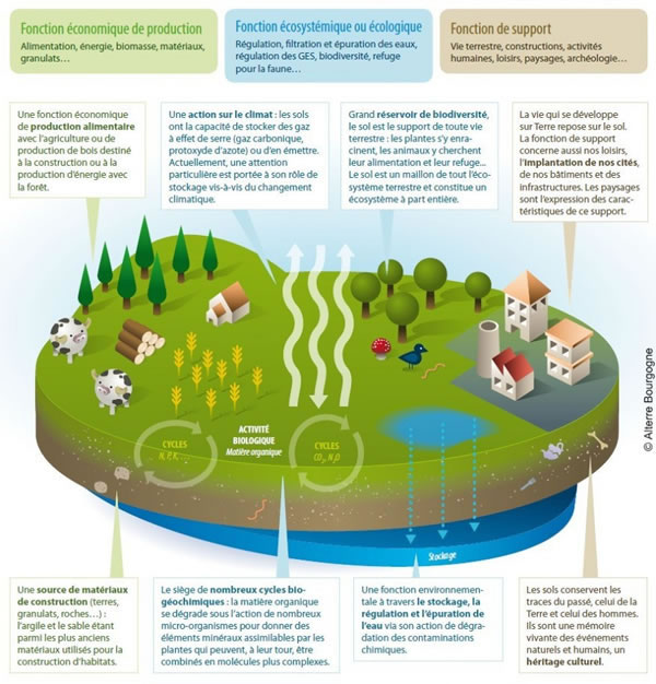 Préservation des fonctions naturelles du sol