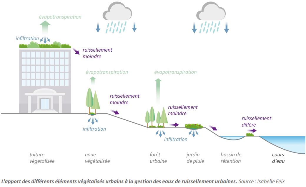 ADEME - végétalisation contre le ruissellement urbain