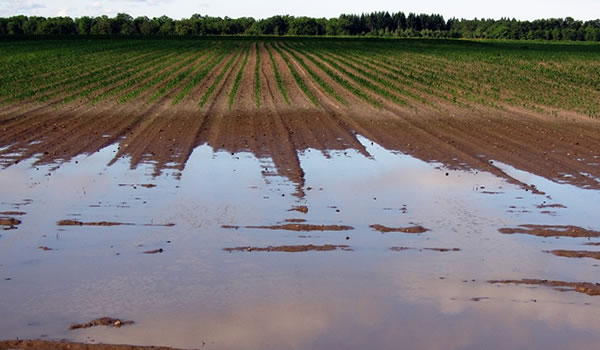 ruissellement agricole