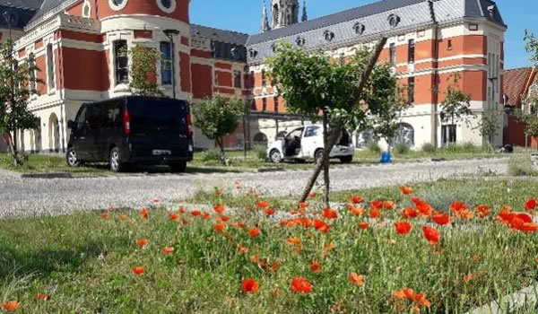 Parking végétalisé et biodiversité