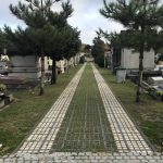 Allée de cimetière gazon et pavés - Meudon