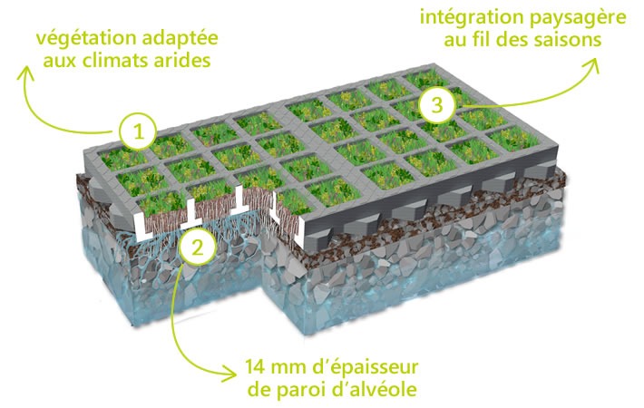 dalle-végétalisée-avantages-o2d-moss-parking