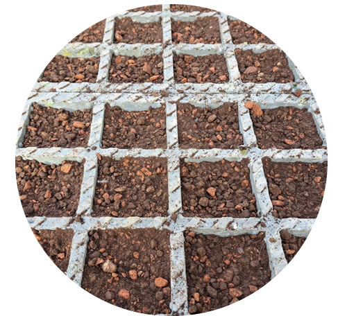 Substrat de remplissage pré-ensemencé O2D SR MOSS