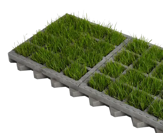 O2D GREEN - dalle gazon