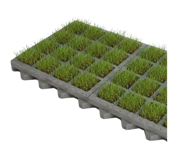 O2D MOSS solution de végétalisation