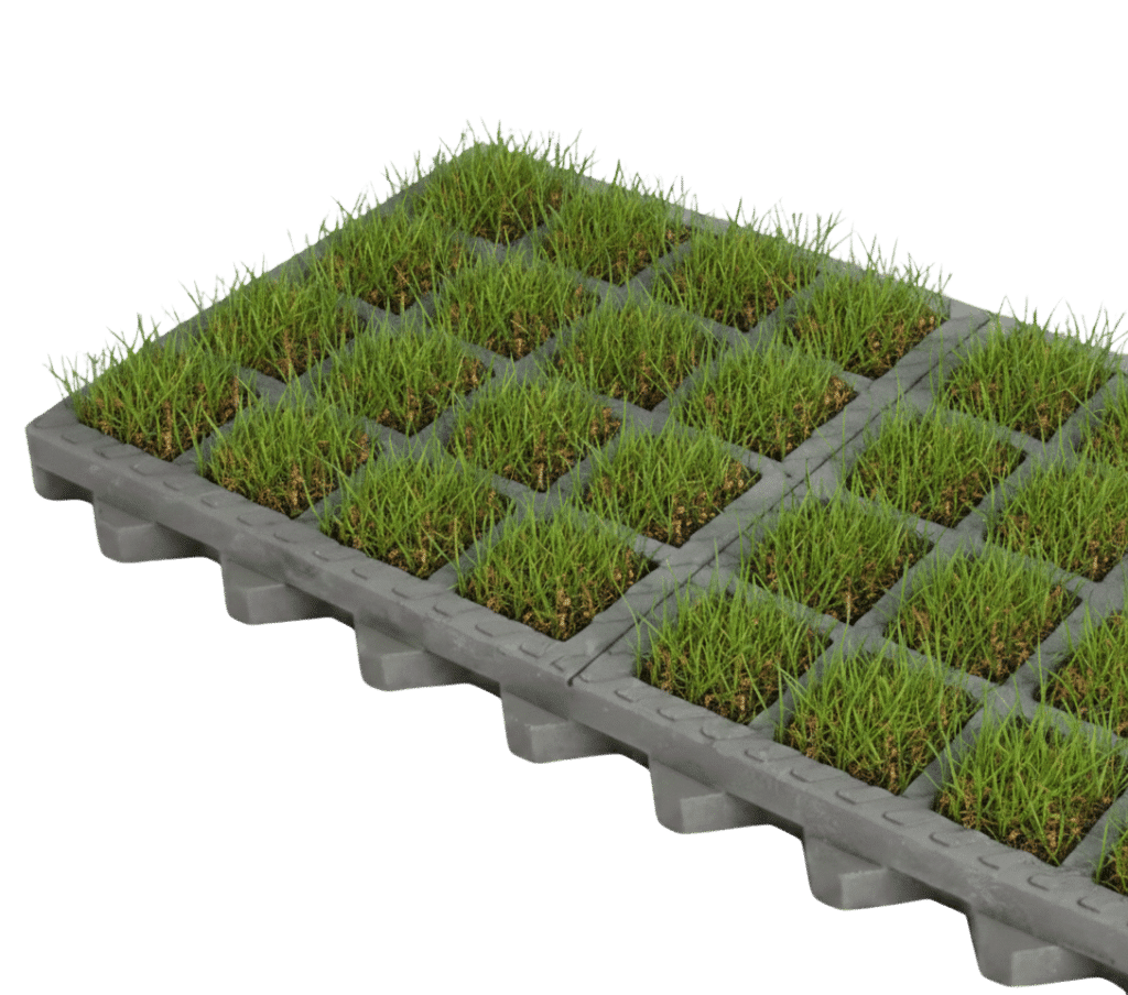 Dalle végétalisée O2D MOSS