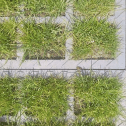 Gendarme | Varennes Jarcy - mai 2022