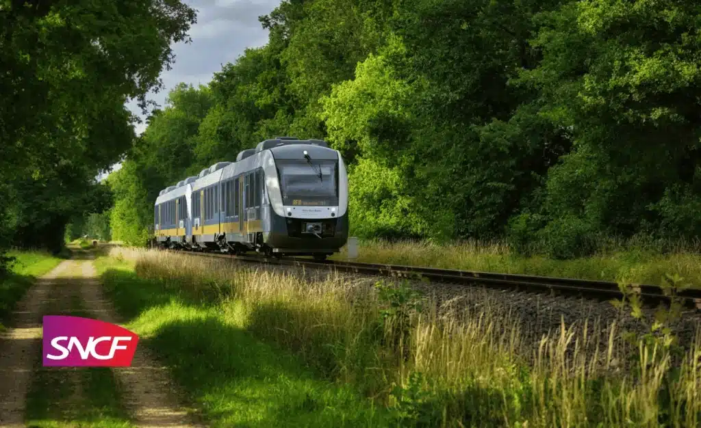 Préserver l’eau au cœur des chantiers : le pari réussi d’AMTER® avec la SNCF