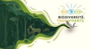 Plan Biodiversité : des mesures en faveur des parkings perméables