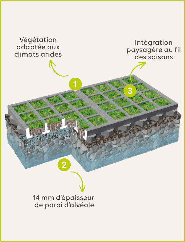 Coupe 3D solution végétalisée O2D MOSS