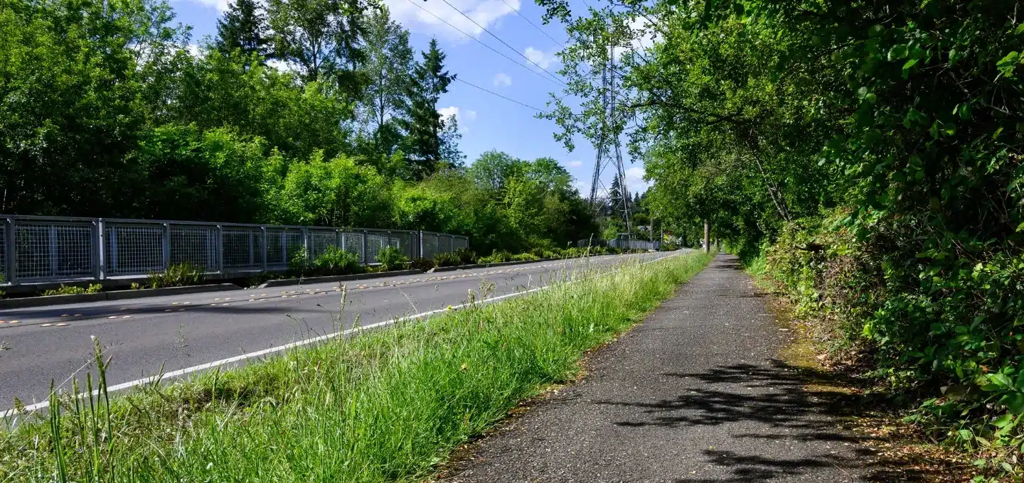 aquatextiles dépolluants noues d'infiltration