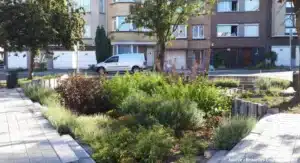 Concevoir des espaces multifonctionnels pour gérer les eaux pluviales