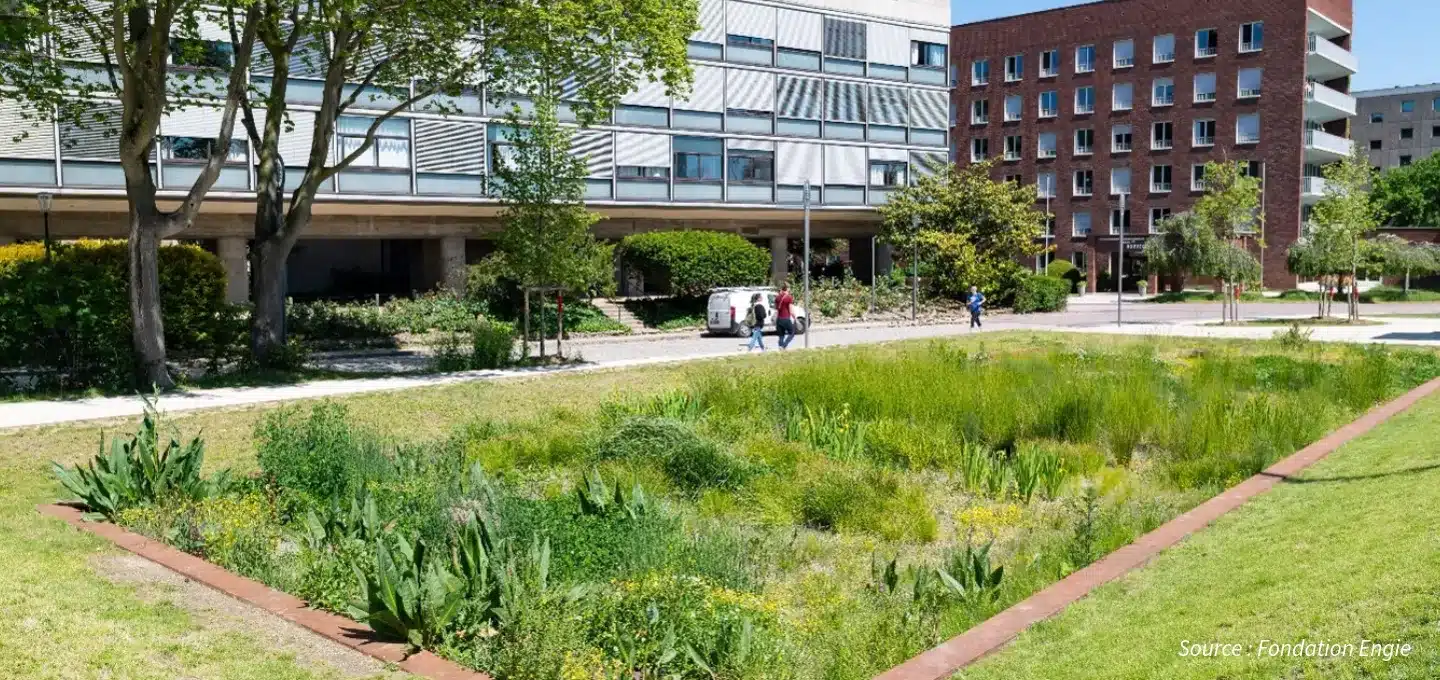 mulitifonctionnalité des ouvrages d'eaux pluviales