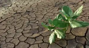 Protection du sol : techniques de construction durable pour la préservation des sols