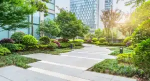 Végétalisation de l’espace public : un partenariat citoyens-décideurs ?