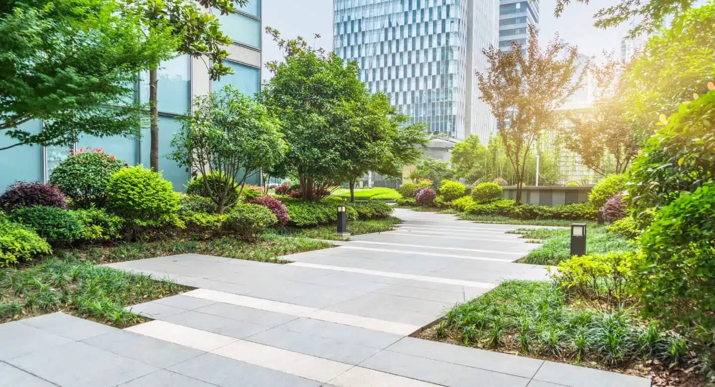 végétalisation de l'espace public