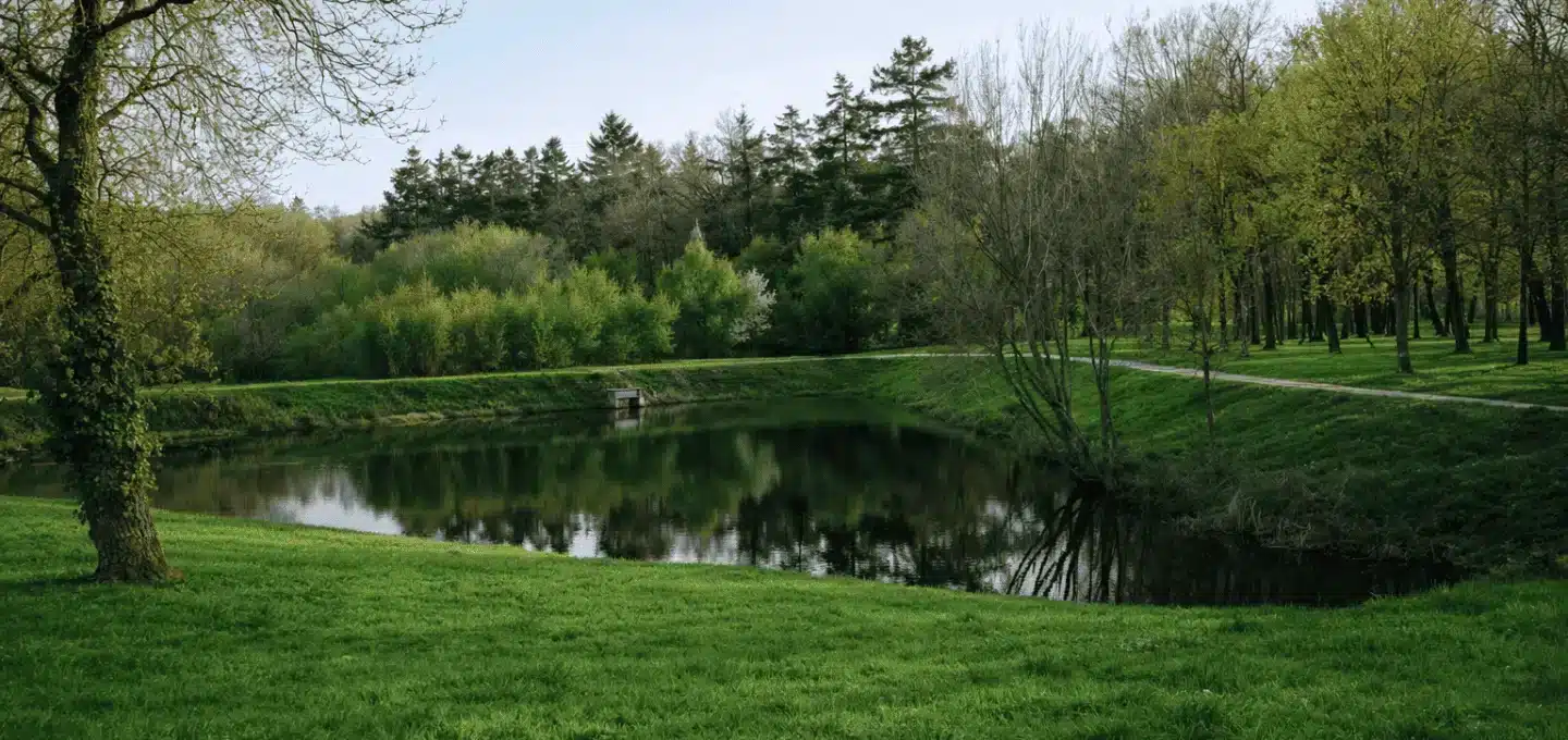 Bassin d'infiltration