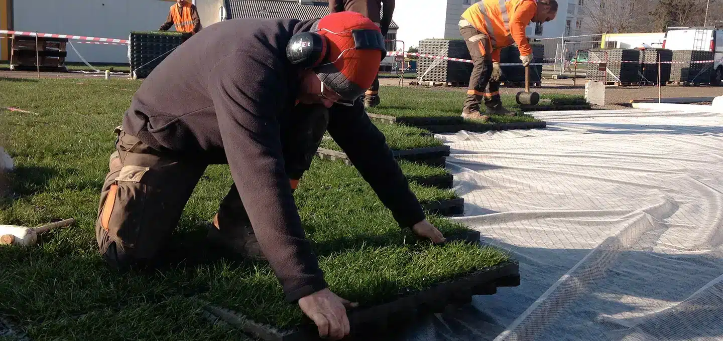 Pose des dalles pré-engazonnées O2D