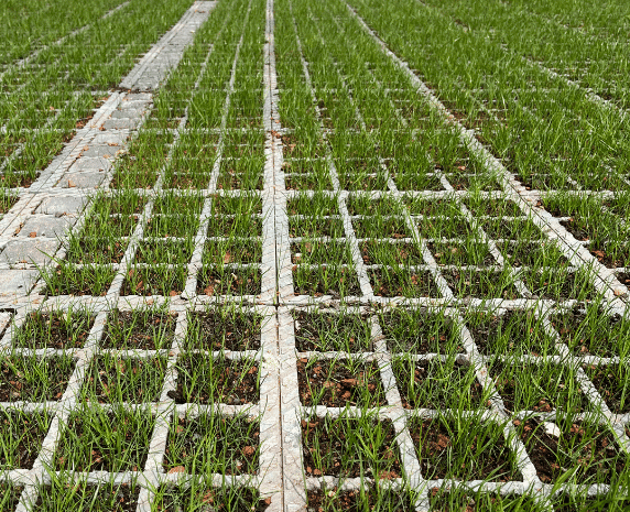 SR MOSS - Substrat de remplissage