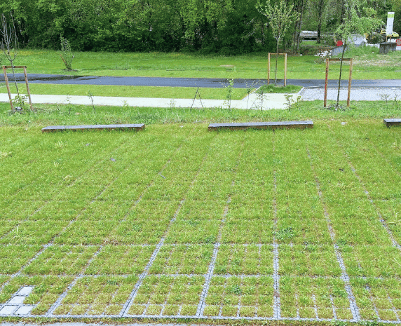 SR VIVACE - susbtrat de remplissage