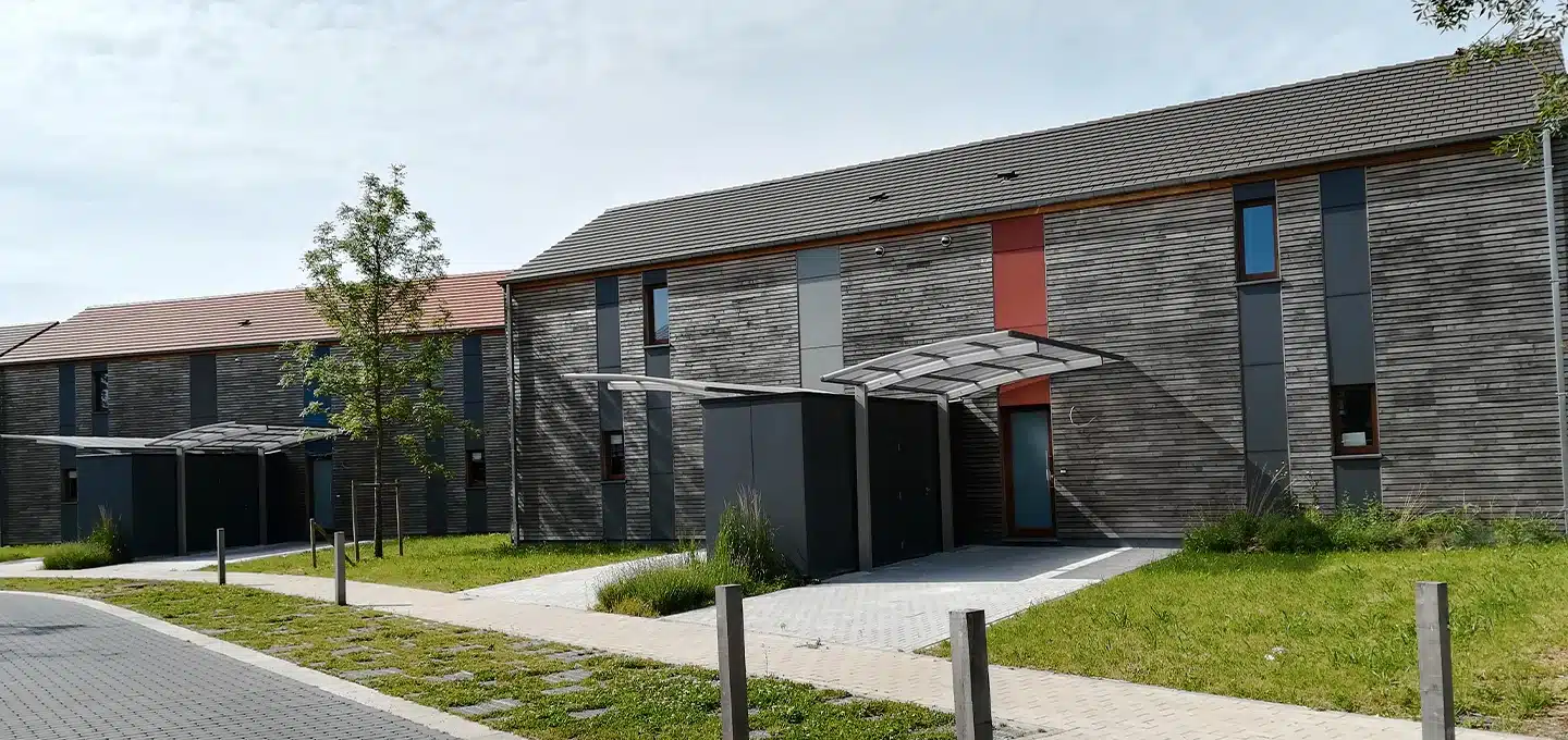 Templeuve - végétalisation d'espaces (2)