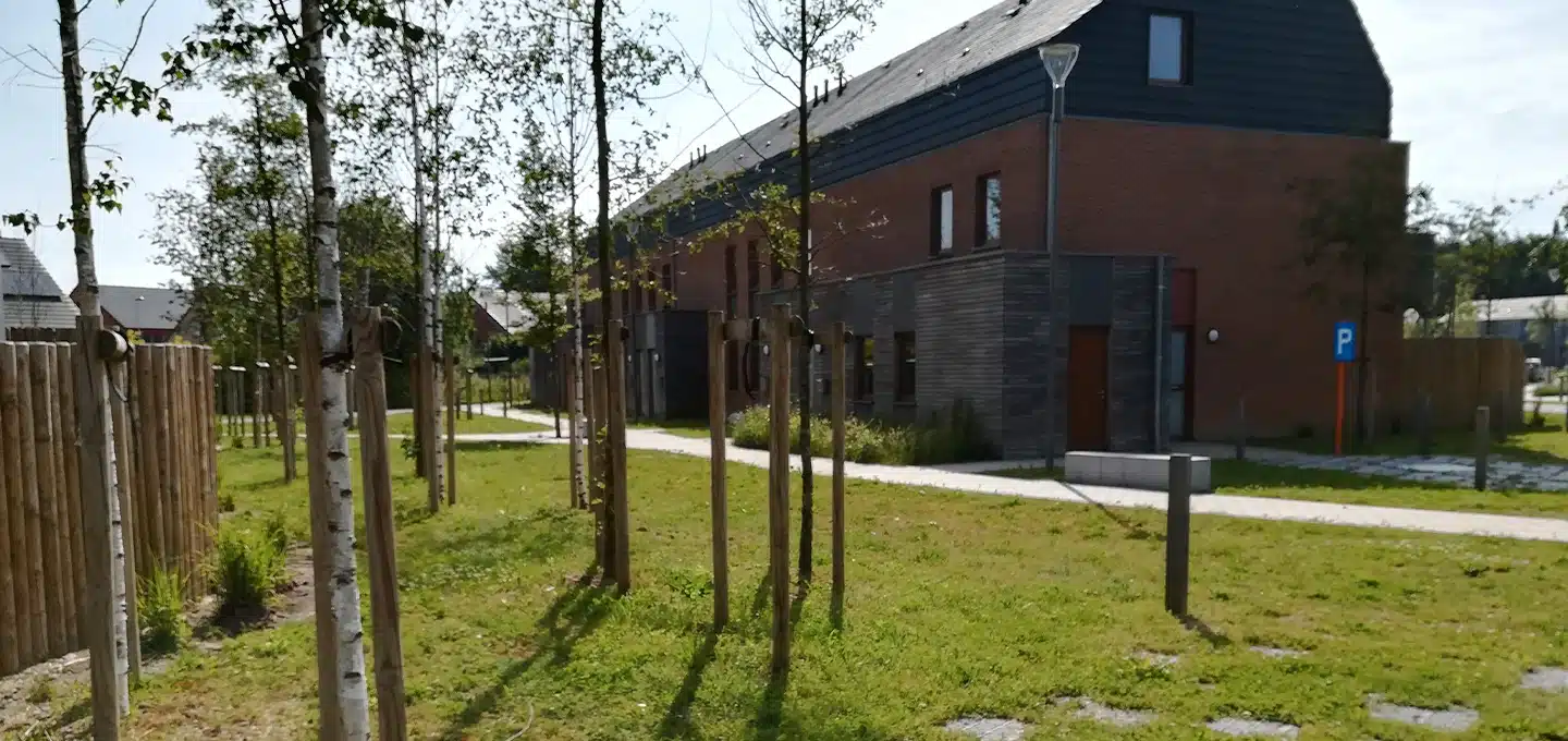 Templeuve - végétalisation d'espaces (4)