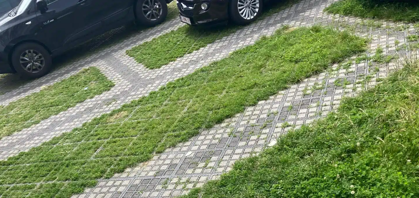 aménagement parking paysager gazon