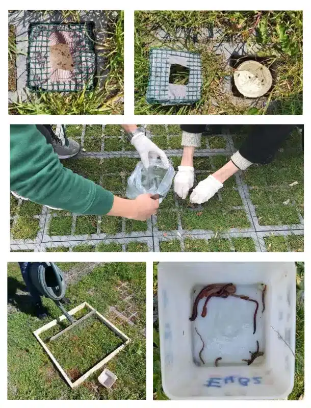 biodiversité du sol - prélèvements taxons