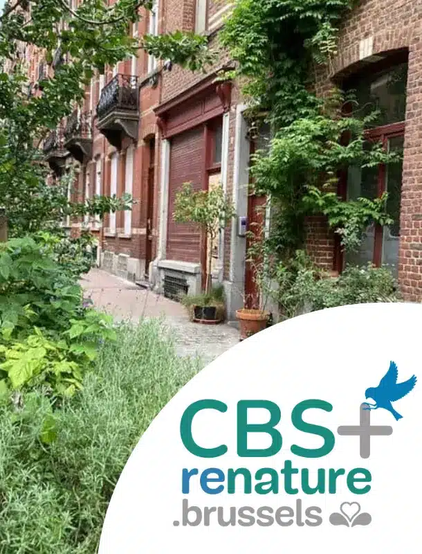 biotoop-oppervlaktefactor baf+ cbs+