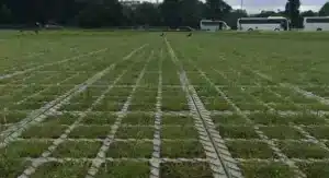 Les 5 conseils pour parking végétalisé assurant sa pérennité