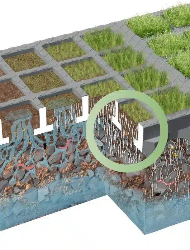 conseils parkings végétalisés protection gazon