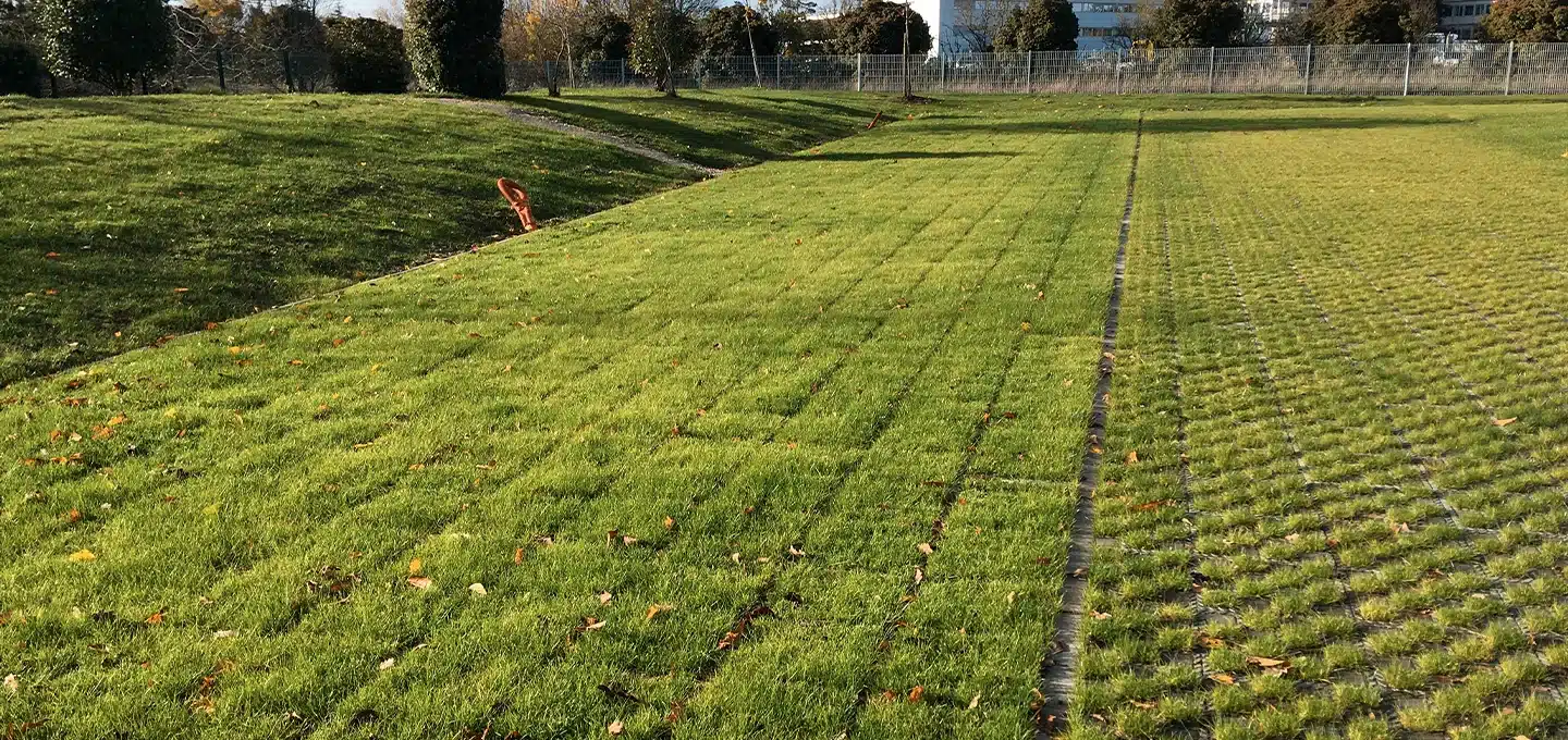 engazonnement parking tertiaire végétalisé