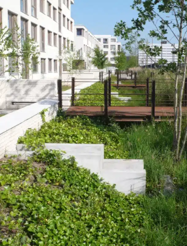 espaces multifonctionnel eaux pluviales ecoquartier