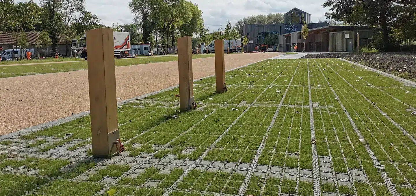 Levée du gazon - mai 2024