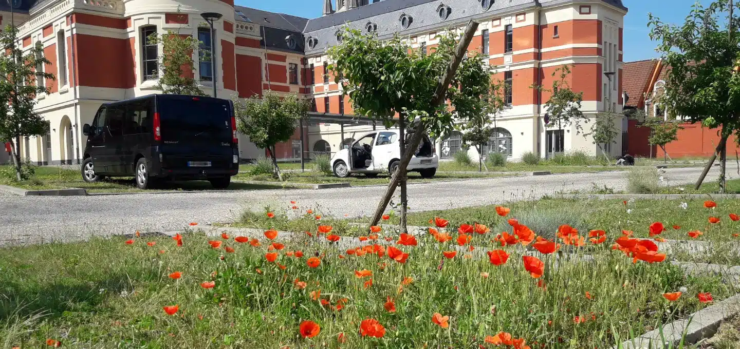 protection des fonctions du sol