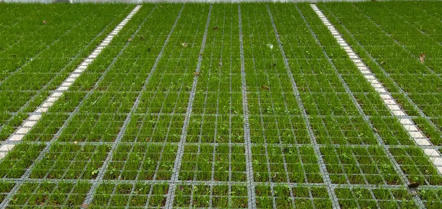 solution préservation du sol